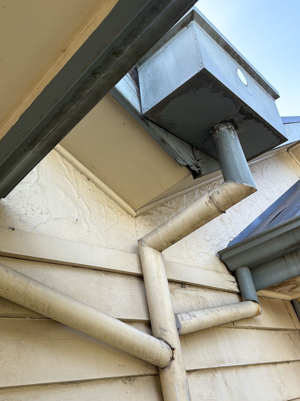 Damaged fascia board that will keep deteriorating if left alone, found during a building and pest inspection in Newport