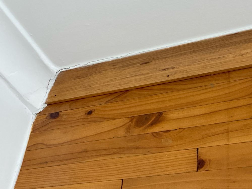 Settlement cracking through walls, ceilings and skirtings, found during a pre-purchase inspection in Newport