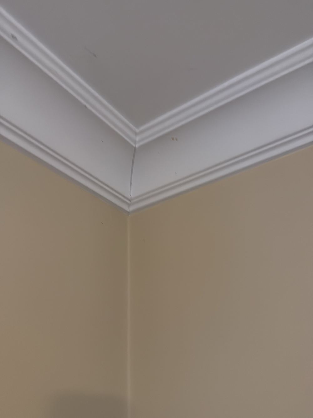 Settlement cracks to walls and cornices from movement in the house, found during a pre-purchase inspection in Newport